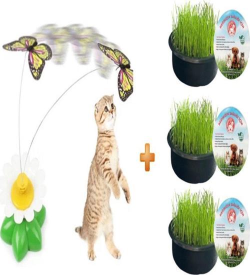 Hareketli Dönen Kelebek Kedi Oyuncağı Pilli + Organik Kedi Çimi 3 Lü