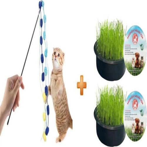 Organik Kedi Çimi 2 Li + Çıngıraklı Kedi Oyun Oltası 50 Cm