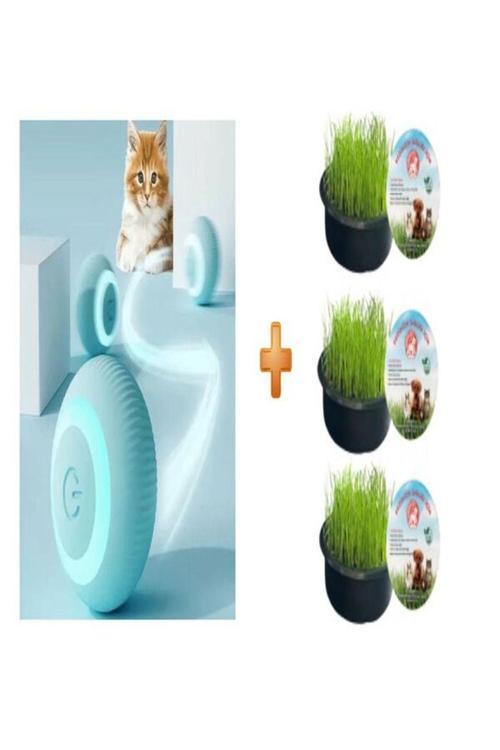 Otomatik Yuvarlanan Akıllı Kedi Oyun Topu + Organik Kedi Çimi 3 Lü