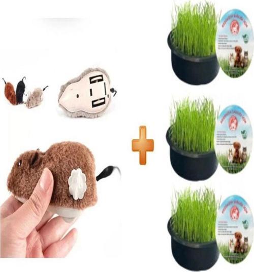 Sonrisa Kurmalı Fare Kedi Oyuncağı Peluş Oyuncak + Organik Kedi Çimi 3 Lü