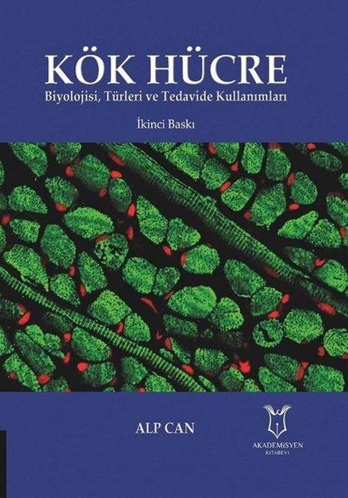 Kök Hücre Biyolojisi - Türleri ve Tedavide Kullanımları