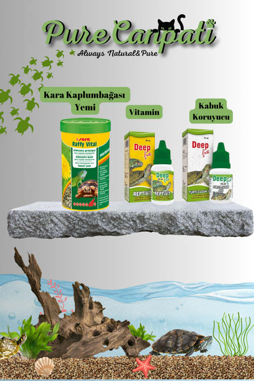 Kara Kaplumbağası Yem,vitamin,kabuk Jel Seti