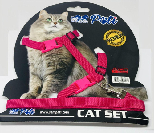 Kedi Köpek Melek Kanatlı Takım Tasma