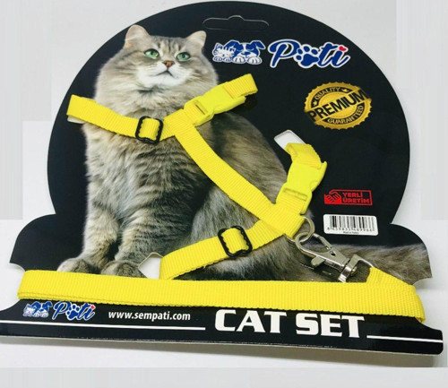 Kedi Köpek Melek Kanatlı Takım Tasma