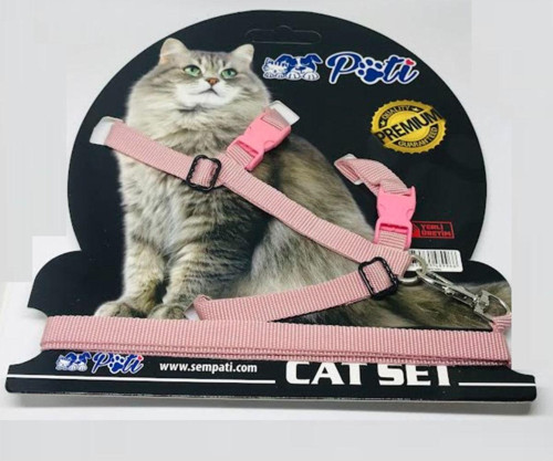 Kedi Köpek Melek Kanatlı Takım Tasma