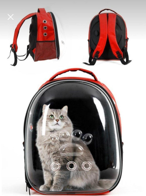Kedi Köpek Şeffaf Sırt Taşıma Çantası Kırmızı
