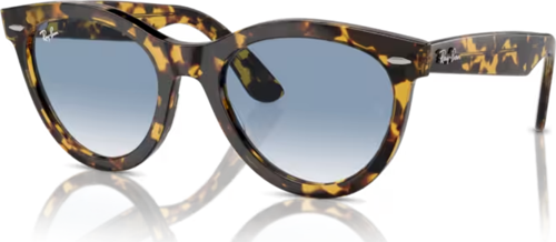 RB 2241 WAYFARER WAY 1332/3F 54