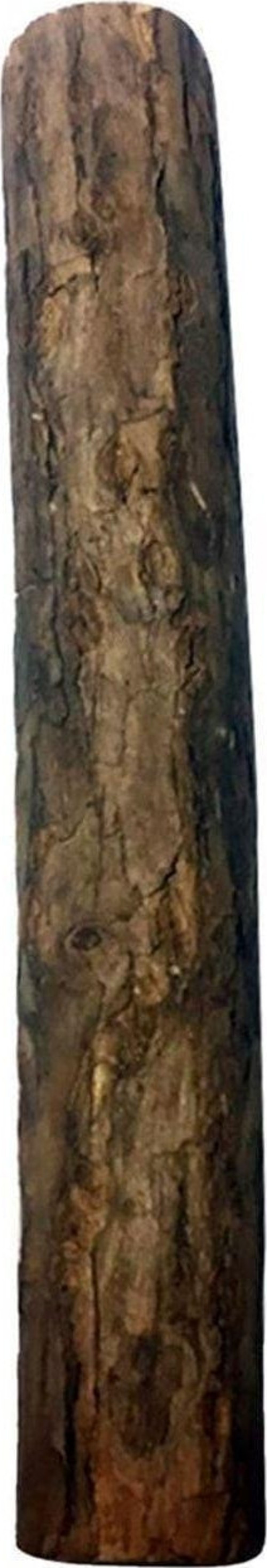 Monster Doğal Kedi Çiğneme Çubuğu, Kedi Oyuncağı 12 Cm