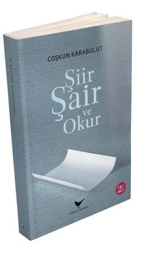 Şiir Şair ve Okur