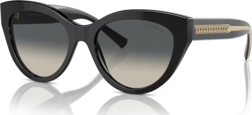 TIFFANY & CO. TF 4220 8001/71 54