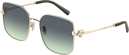 TIFFANY & CO. TF 3105-D 6021/S4 58