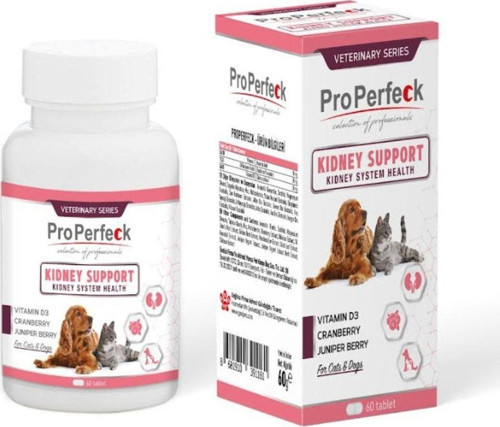 Kidney Support Böbrek Problemi Için 60 Tablet