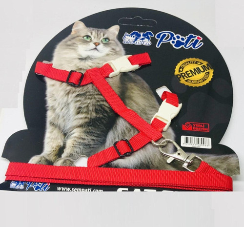 Kedi Köpek Melek Kanatlı Takım Tasma