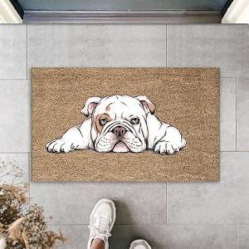 Dekoratif Dijital Baskı Bej Köpek Dış Mekan Paspas K-3005