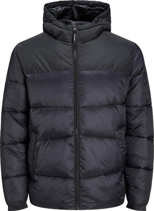 Chili Puffer Hood Ps Erkek Siyah Büyük Beden Mont 12219156-02