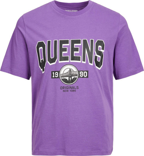Big City Tee Ss Crew Neck Tg Erkek Mor Tshirt 12232261-19