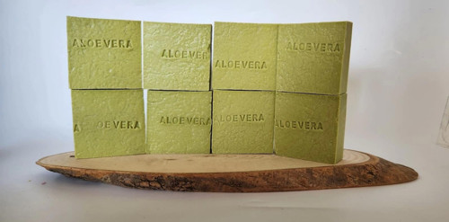 ÇİÇEK GRUBU ALOEVERA 8 Lİ