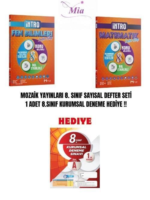 LGS MOZAİK YAYINLARI SAYISAL DEFTER SET 