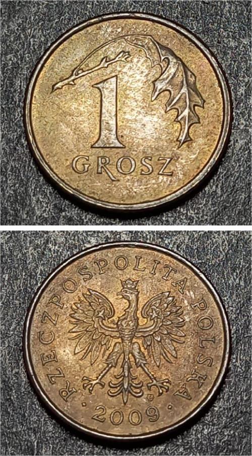 Escoines 39963688985b4ee151 2009 Polonya 1 Groszy ÇİL Para