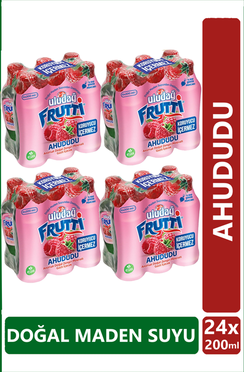 Frutti Ahududu Aromalı Maden Suyu 200 ml x 24 adet