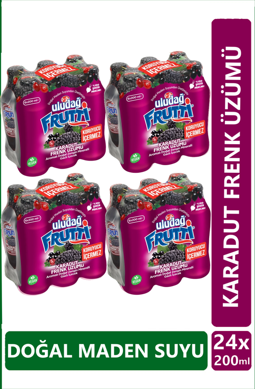 Frutti Karadut Frenk Üzümü Aromalı Maden Suyu 200 ml x 24 adet