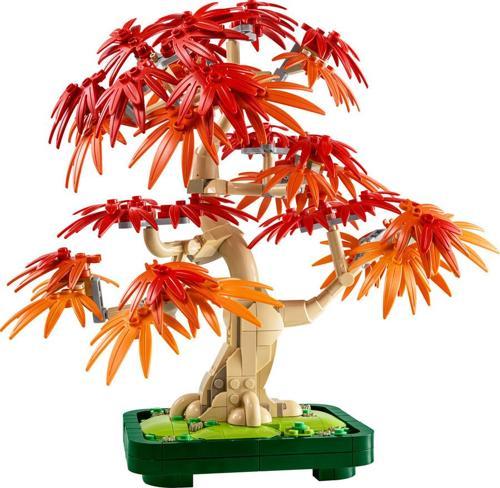 ® Botanicals Japon Kırmızı Akçaağaç Bonsai Ağacı 10348