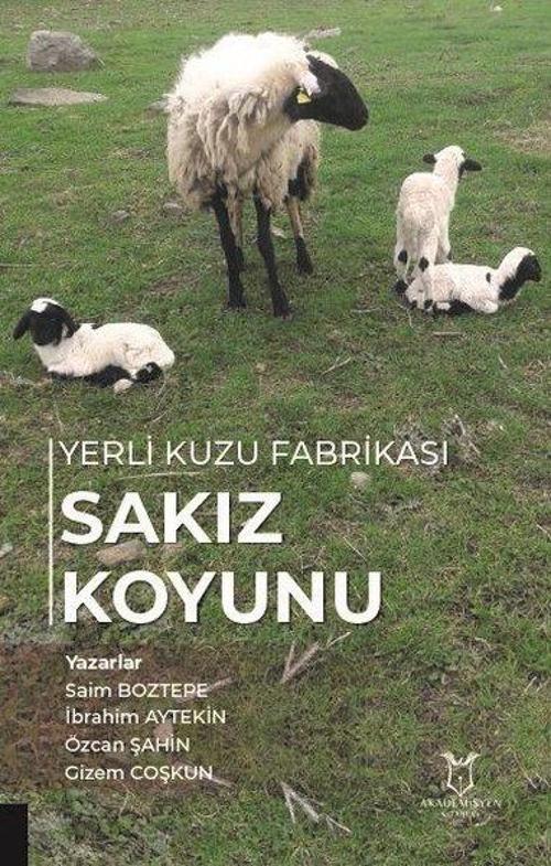 Sakız Koyunu - Yerli Kuzu Fabrikası