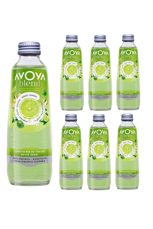 6'lı Blend Misket Limonu Maden Suyu 250 Ml