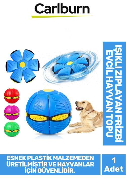Özel Üretim İnteraktif Fiziksel Zihinsel Aktivite Sağlayan Işıklı Zıplayan Frizbi Evcil Hayvan Topu