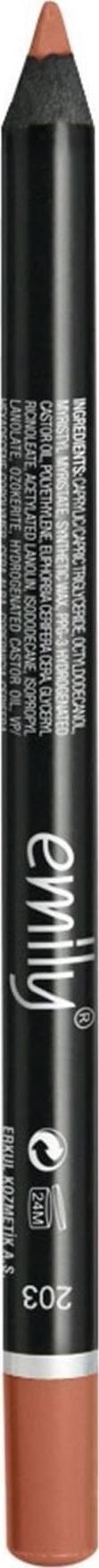Long Lasting Lip Pencil Dudak Kalemi 203