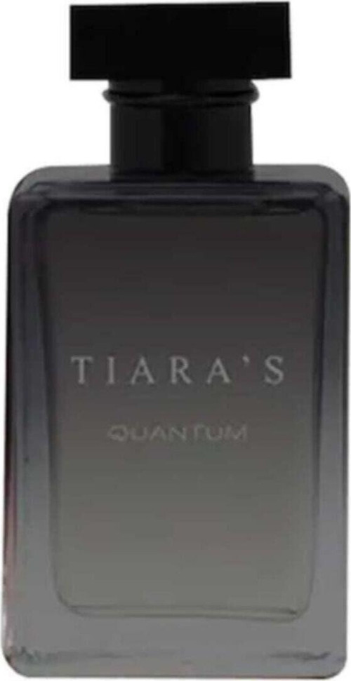 Erkek Parfüm Quantum Edt 100 Ml