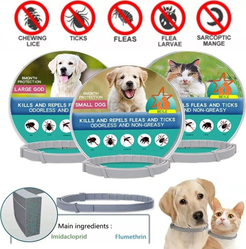 Köpek Anti Pire Kene Önleyici Tasma- Pire Önleyici Tasma-Kene Önleyici Tasma 63 Cm