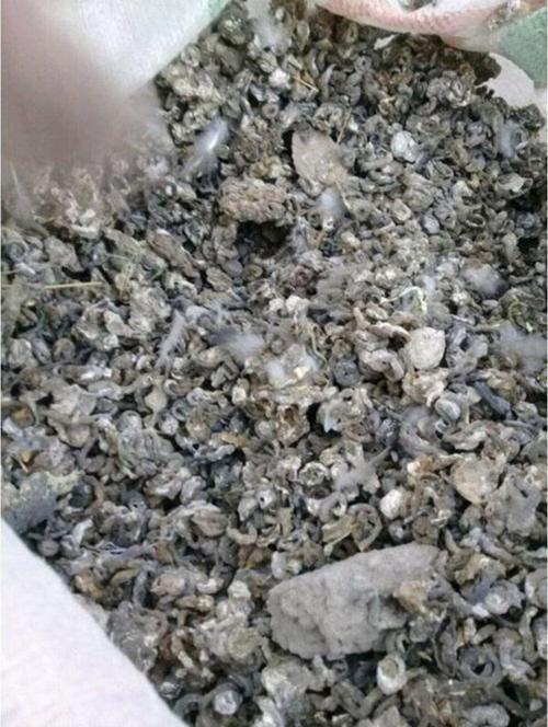 Organik Katksız Güvercin Gübresi Bitkileriniz İçin Besin 2 Kg
