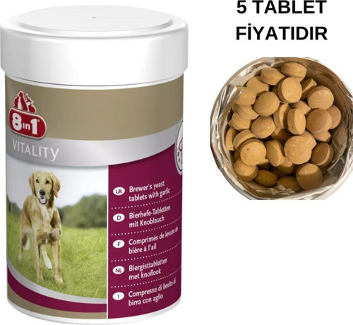 Köpek Tüy Bakım Tableti Bira Mayası Tüy Dökümü Önleyici