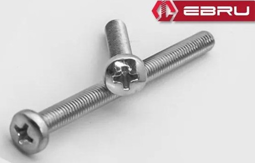 Ebru Yuvarlak Yıldız Başlı YSB Civata M6x15 - 100 Adet