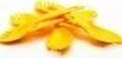 Spork Tek Renk 6lı Çatal Kaşık Set 63133