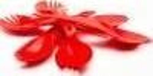 Spork Tek Renk 6lı Çatal Kaşık Set 63153