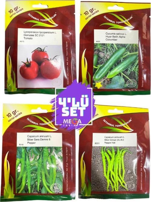 4'Lü Tohum Seti( Domates Sc 2121- Beith Alpha Hıyar-Tatlı Demre-Acı Kıl Biber) 10 Gr'Lık Paket