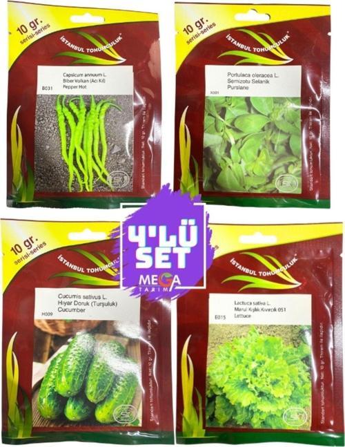 4'Lü Tohum Seti ( Acı Kıl Biber- İri Semizotu-Turşuluk Hıyar-Kışlık Kıvırcık Marul) 10 Gr'Lık Paket