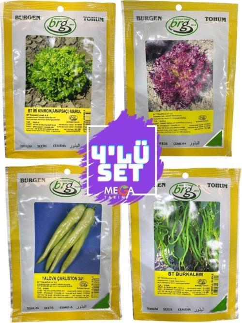4'Lü Tohum Seti ( Arap Saçı Marul-Kırmızı Marul-Yalova Çarliston Biber -Tatlı Kıl Biber ) 10 Gr