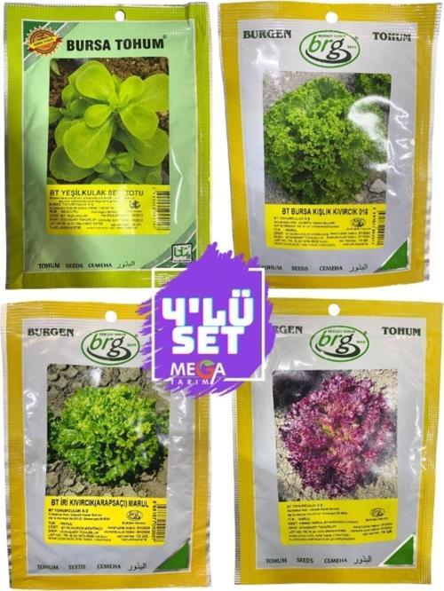 4'Lü Tohum Seti ( Semizotu-Kışlık Kıvırcık-Arapsaçı Marul -Kırmızı Marul ) 10 Gr Paketler