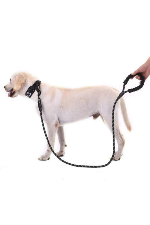 Reflektörlü Köpek Tasması 130Cmsuslupati