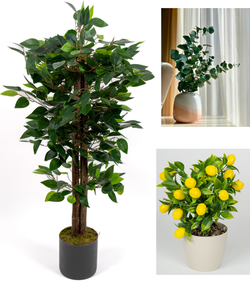 Dekoratif 3’lü Set: 100 cm Yapay Benjamin Ağacı + Şoklanmış Okaliptus Demeti + Yapay Limon – Ev & Ofis Doğal Dekorasyon