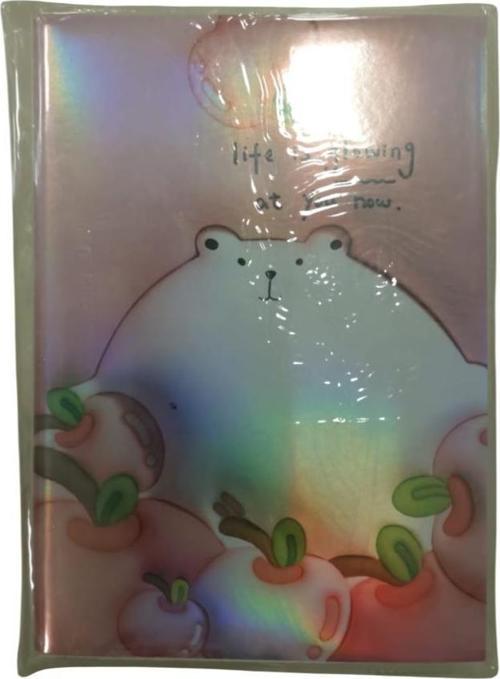 Not Defteri Pst-03 (12 Li Paket)