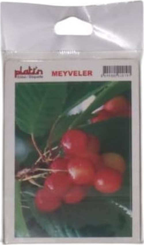 Sticker Meyveler Ve Sebzeler 13x18 S0007