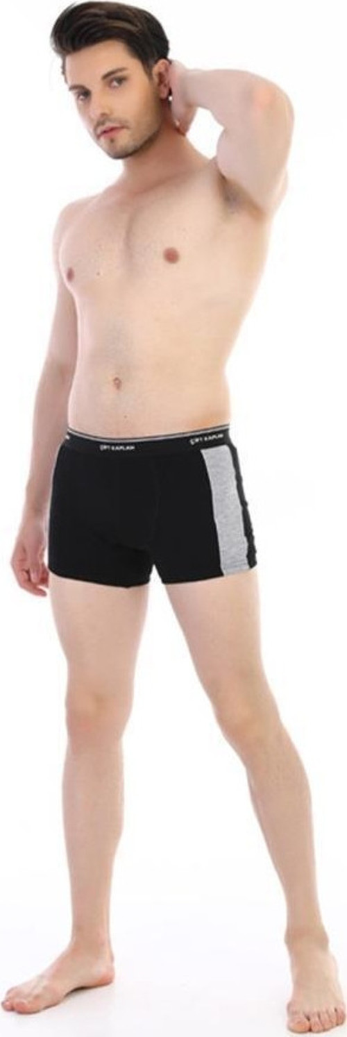 3 Adet Çift Kaplan Erkek Elastanlı Biyeli Boxer 850