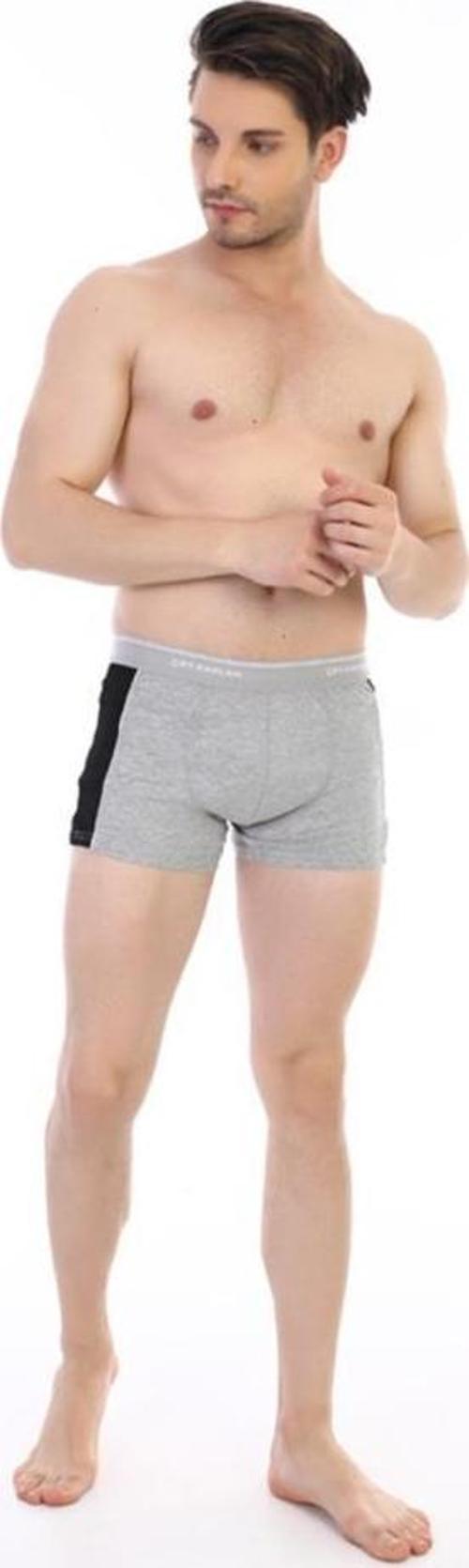 6 Adet Çift Kaplan Erkek Elastanlı Biyeli Boxer 850
