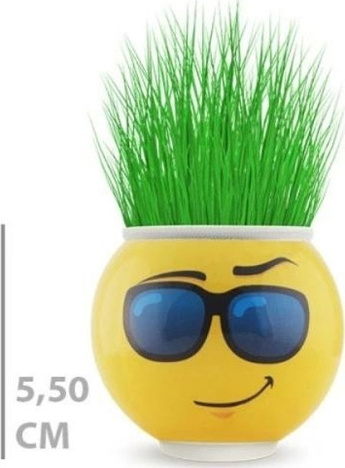 Çim Adam Saksı Emoji Figürlü 1 Adet