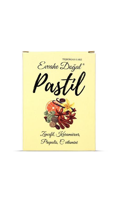 Pastil 12 Adet(ZENCEFİL, KARAMÜRVER, PROPOLİS, C VİTAMİNİ İÇEREN PASTİL TAKVİYE EDİCİ GIDA)
