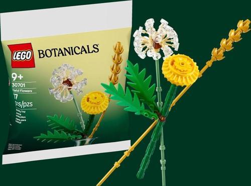 30701 LEGO Botanicals Field Flowers (77 Parça) Tarla Çiçekleri